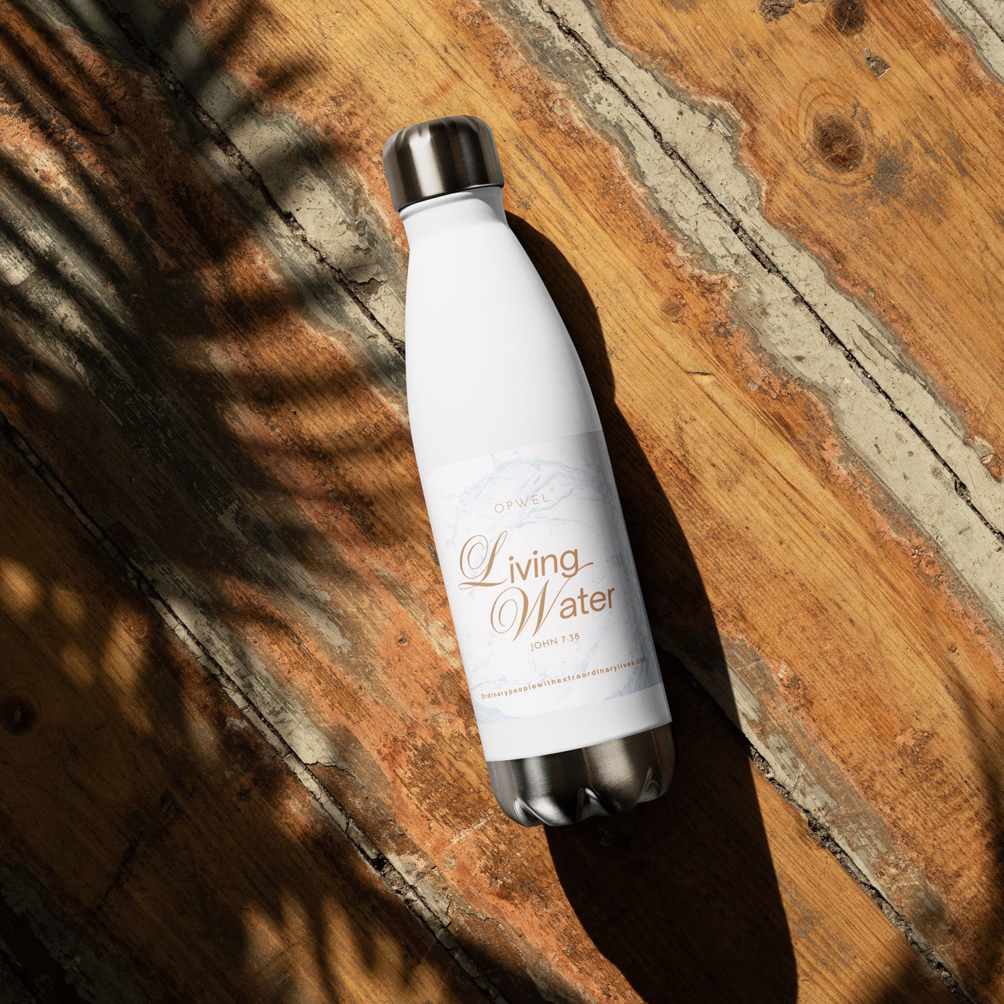 Stainless Steel Water Bottle